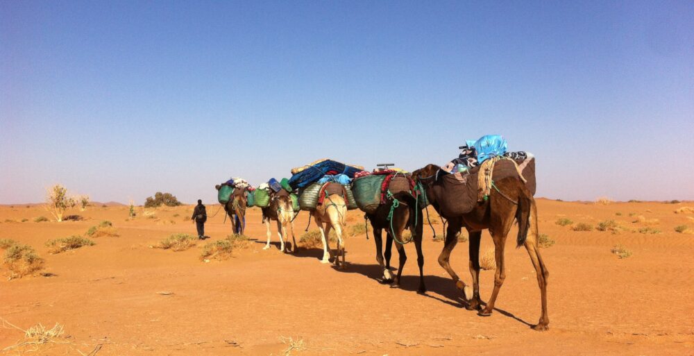 3 jours dans le désert marocain