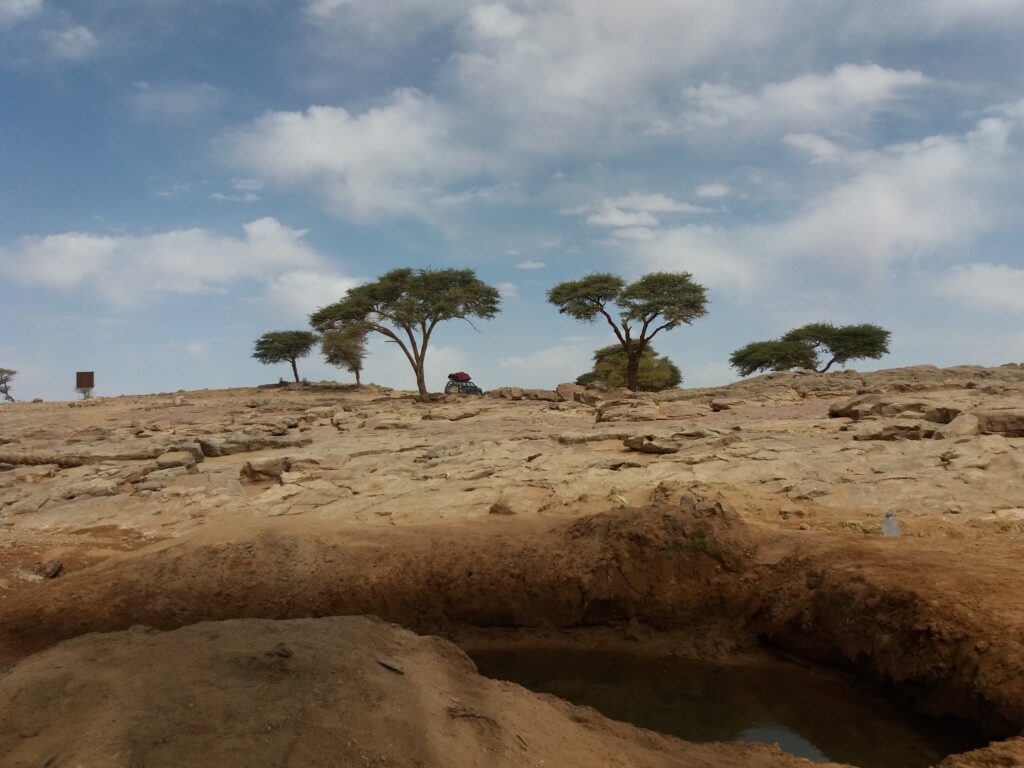 Trek à pied Au cœur de la palmeraie