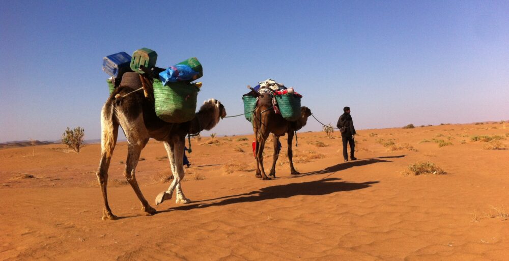 Trek désert Maroc 10 jours