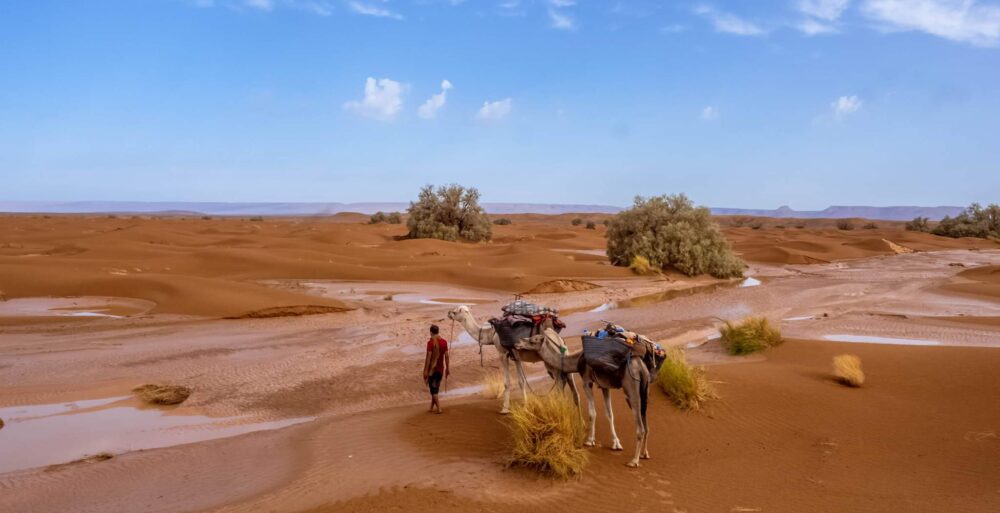 trek désert Maroc 4 jours