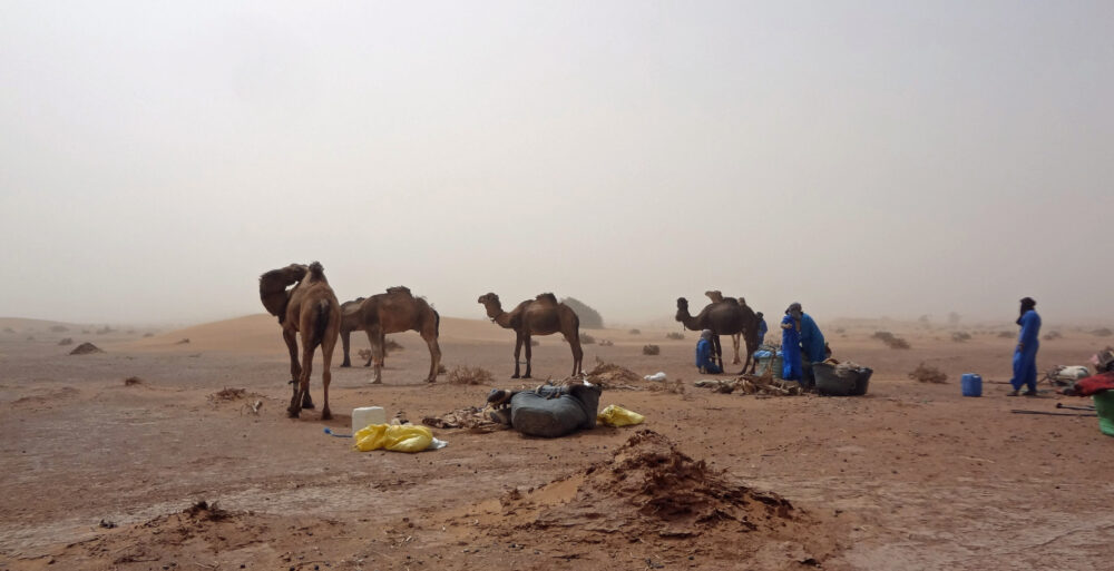 10 jours et 9 nuits dans le désert marocain