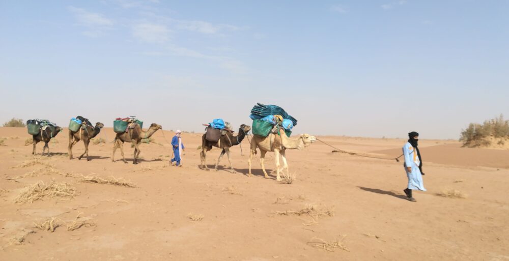 12 jours Méharée dans le sud Marocain