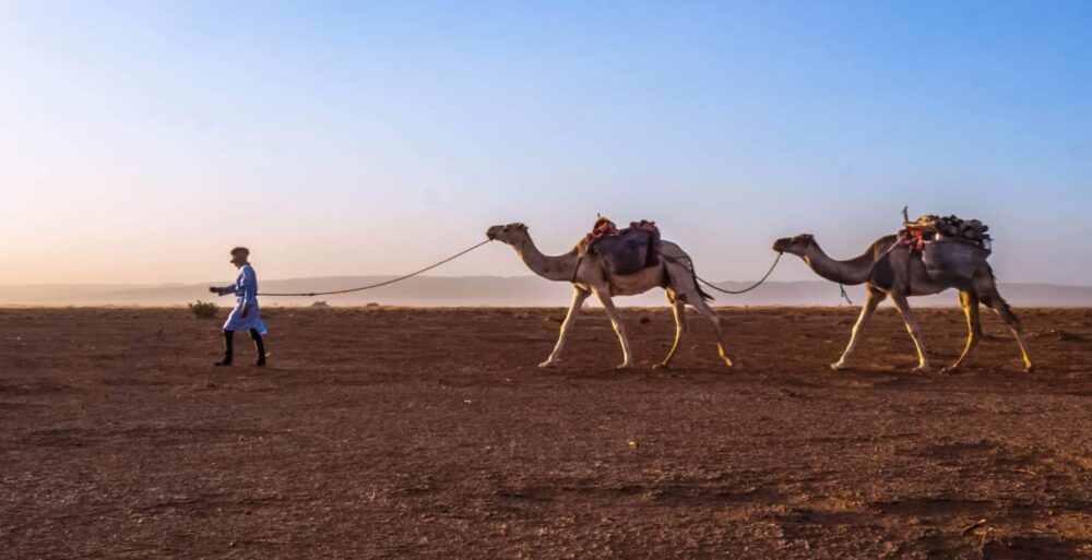 4 jours dans le désert marocain