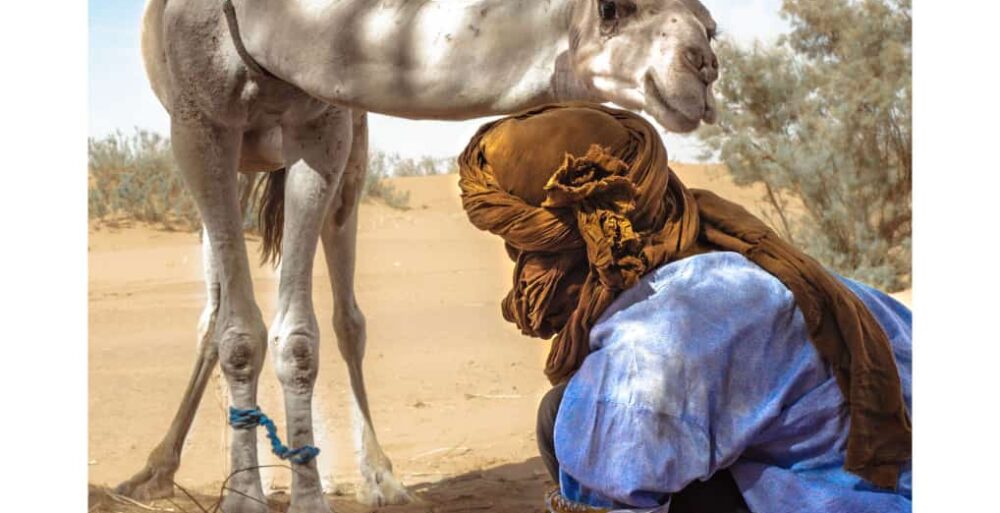 5 jours dans le désert marocain