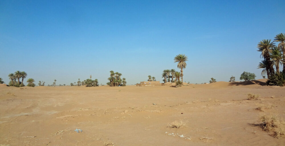 5 jours et 4 nuits dans le désert marocain