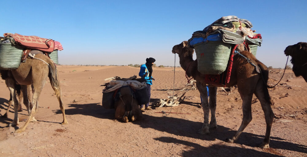 6 jours dans le désert marocain