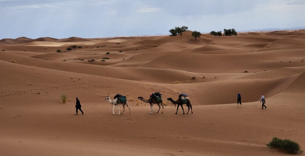 Treks organisés pour personnes seules