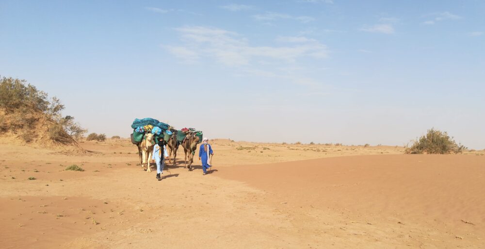 trek randonnée désert maroc 12 jours