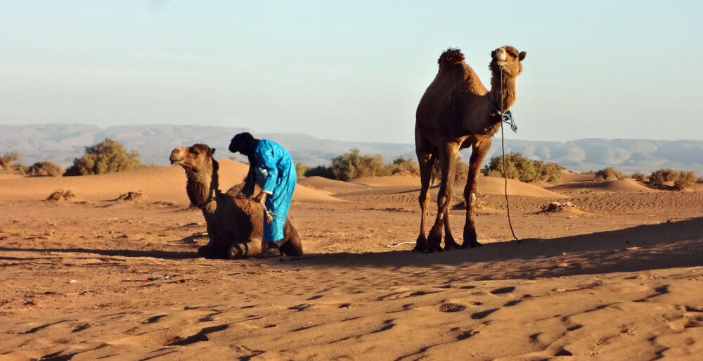 voyages à Pied 3 jours dans le desert