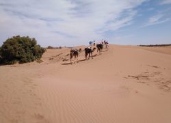 Trek randonnées dans le désert Maroc